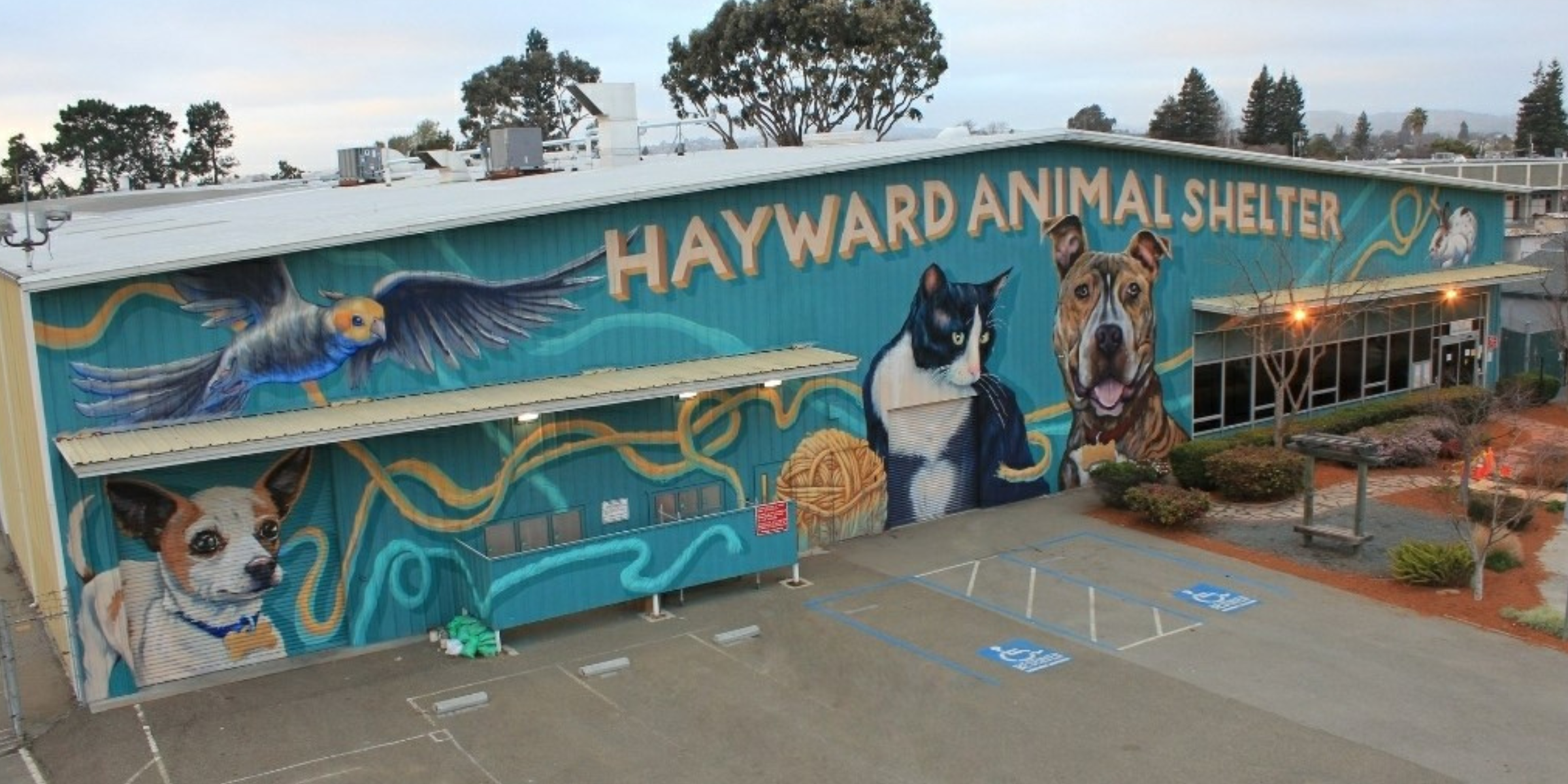 Hayward Animal Shelter