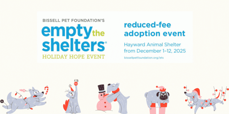 Flyers for December Animal Shelter events