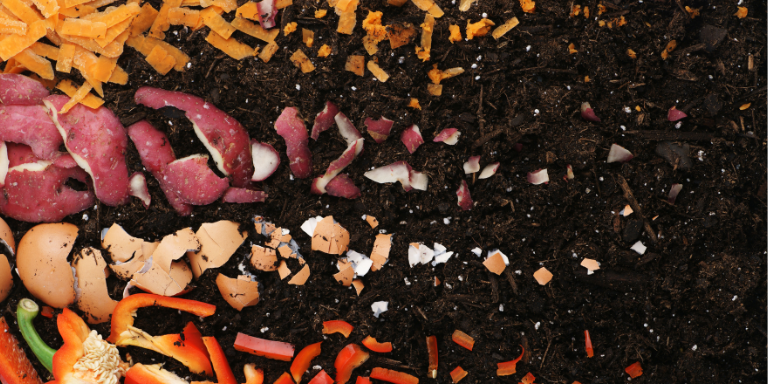 Photo of soil and composting food scraps from vegetables.