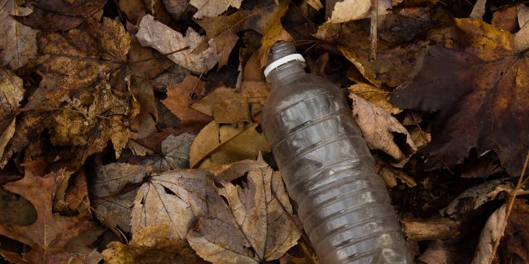 A plastic water bottle in a pile of leaves