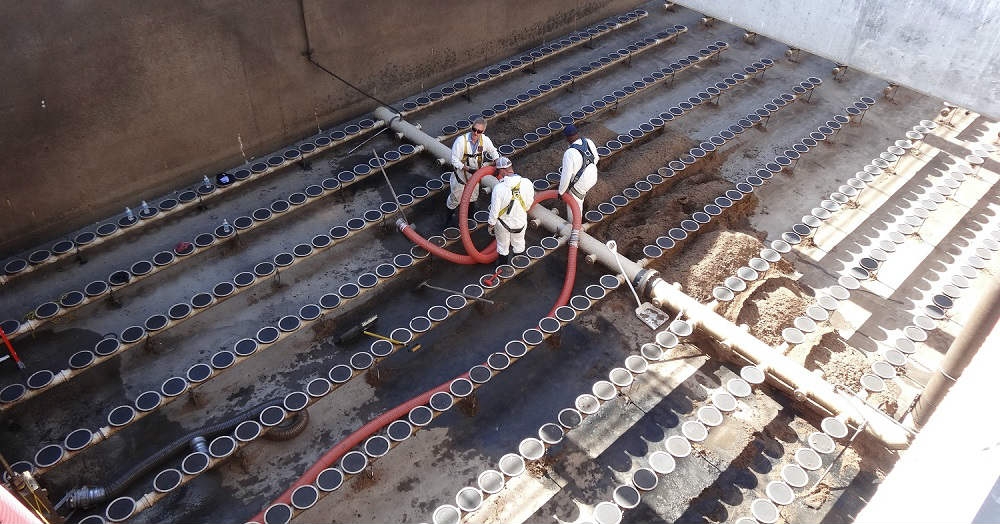 Workers removing snails