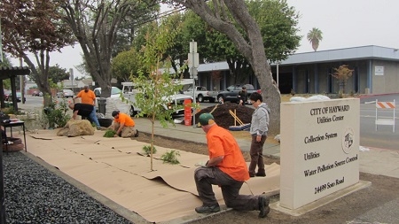 Soto Road Lawn Conversion