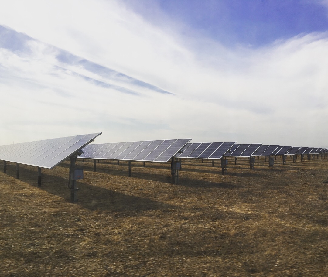 1MW of solar panels generate electricity for City facilities in field behind WPCF