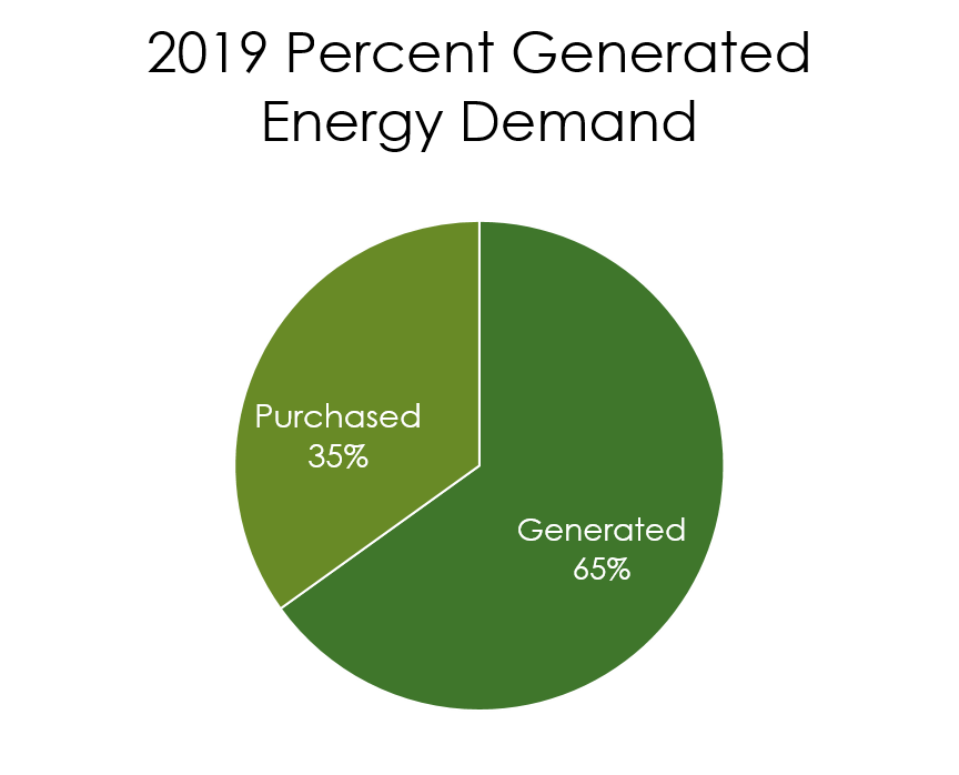 Graph of Hayward's percent generated energy in 2019