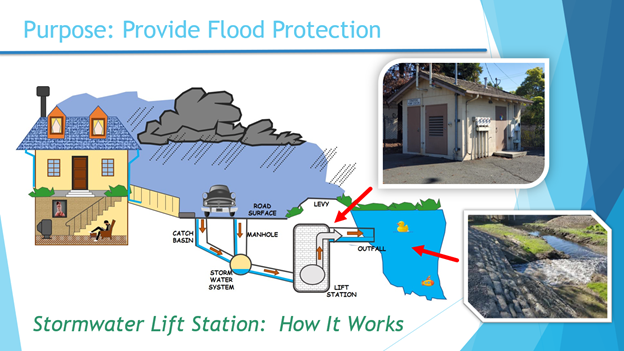 A graphic of how the Stormwater Lift Station works. Rain and storm water is essentially captured into the underground lift station where it is pumped out into Ward Creek.