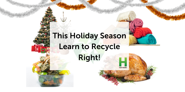 What you can - and can't - recycle on Christmas morning