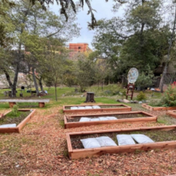 Raised beds in a community garden.