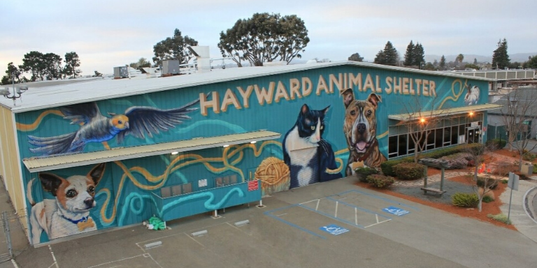 A large building covered by a mural of cats, dogs and other pets