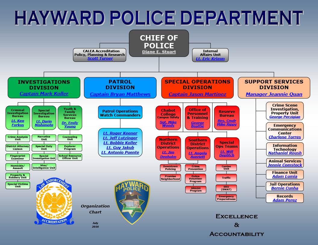 Organizational Chart City of Hayward Official website