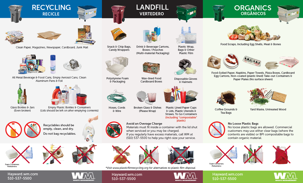 Sorting garbage, recycling and organics City of Hayward Official website