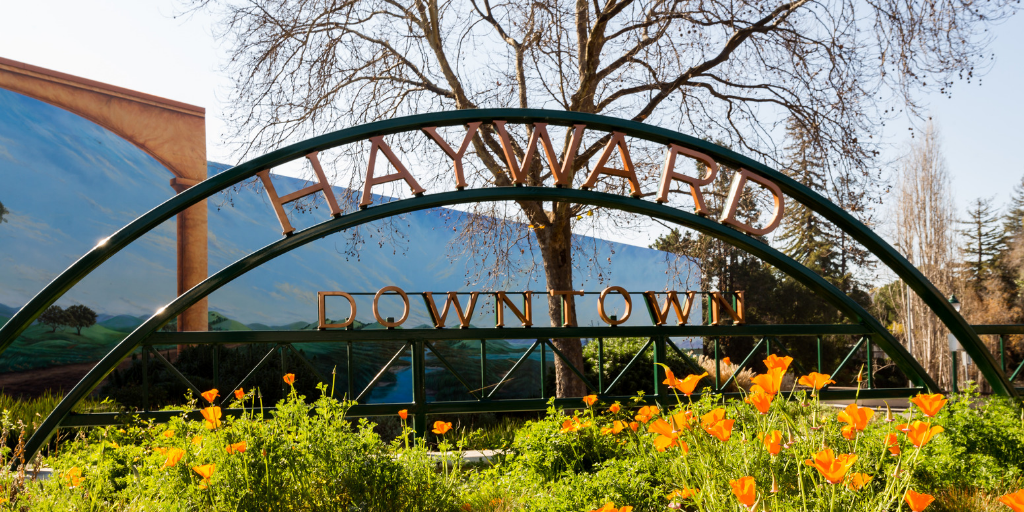 Green arch with gold lettering that says "Hayward Downtown" over a field of poppies
