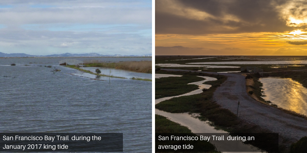 Side by side views of the Hayward shoreline during a normal tide and the 2017 king tide