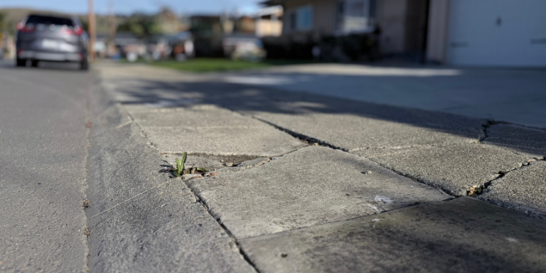 Photo of a cracked sidewalk