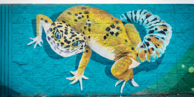 Mural of a colorful gecko on a Tennyson Rd. Soundwall