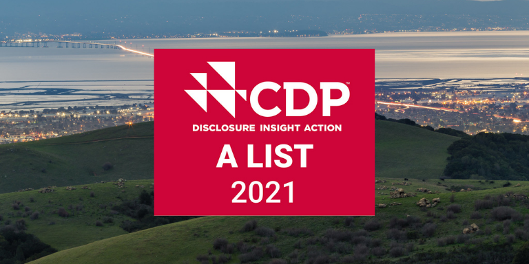 Image of rolling green hills with a view of the City of Hayward at night. On top of the image in white text on a red box: CDP Disclosure Insight Action A List 2021.