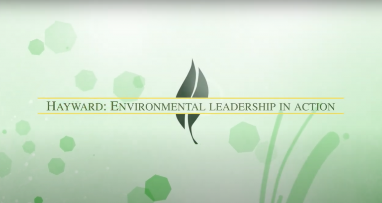 A graphic with a light green background with leaves and organic shapes. Title: Hayward: Environmental Leadership in Action