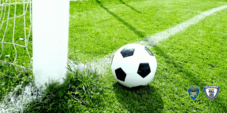 Soccer ball near a goal net