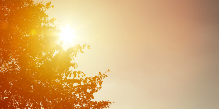 Bright orange and yellow sunshine