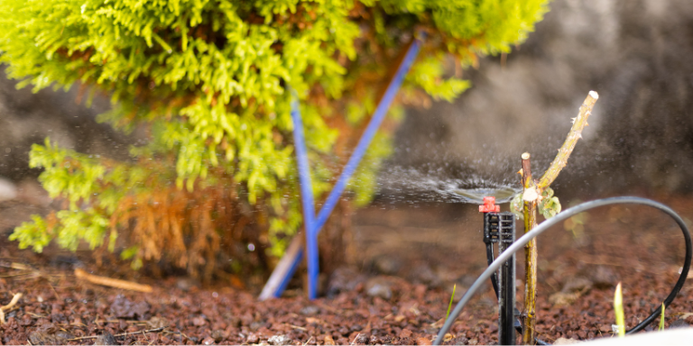 Drip irrigation system watering plants