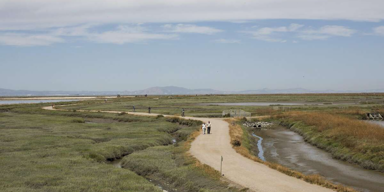 People walking on a Hayward Shoreline Path