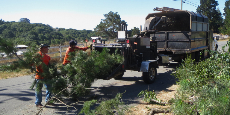 Crews putting wood branches into a chipper