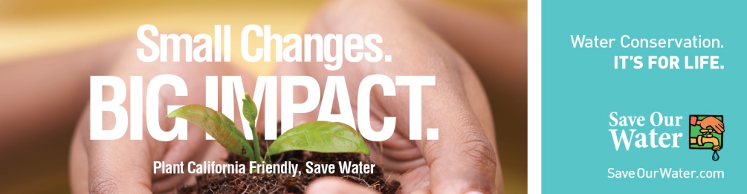 Hands holding a seedling