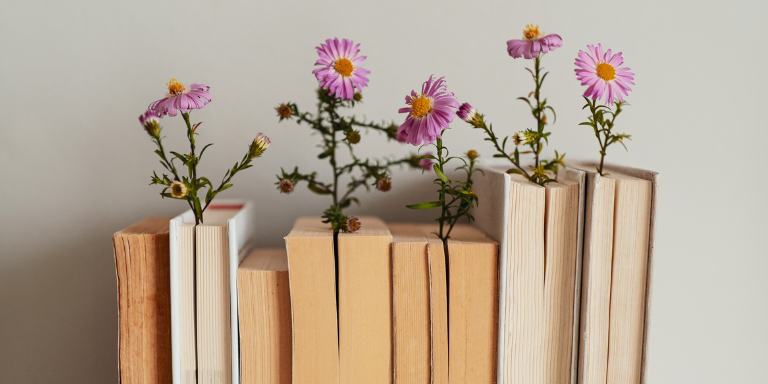 a row of books using pink flowers for bookmarks