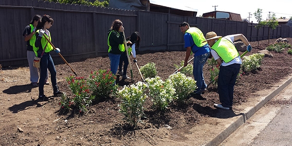 Keep Hayward Clean & Green Landscape Project