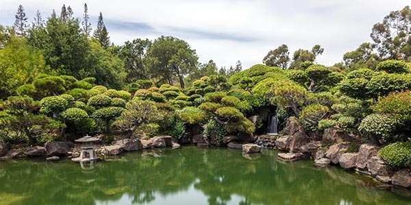 Japanese Gardens