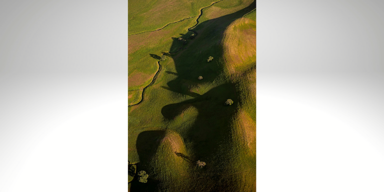 hills, dotted with native oak trees, northeast of Livermore, California